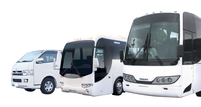 Choosing Lux Mini Buses and Vans